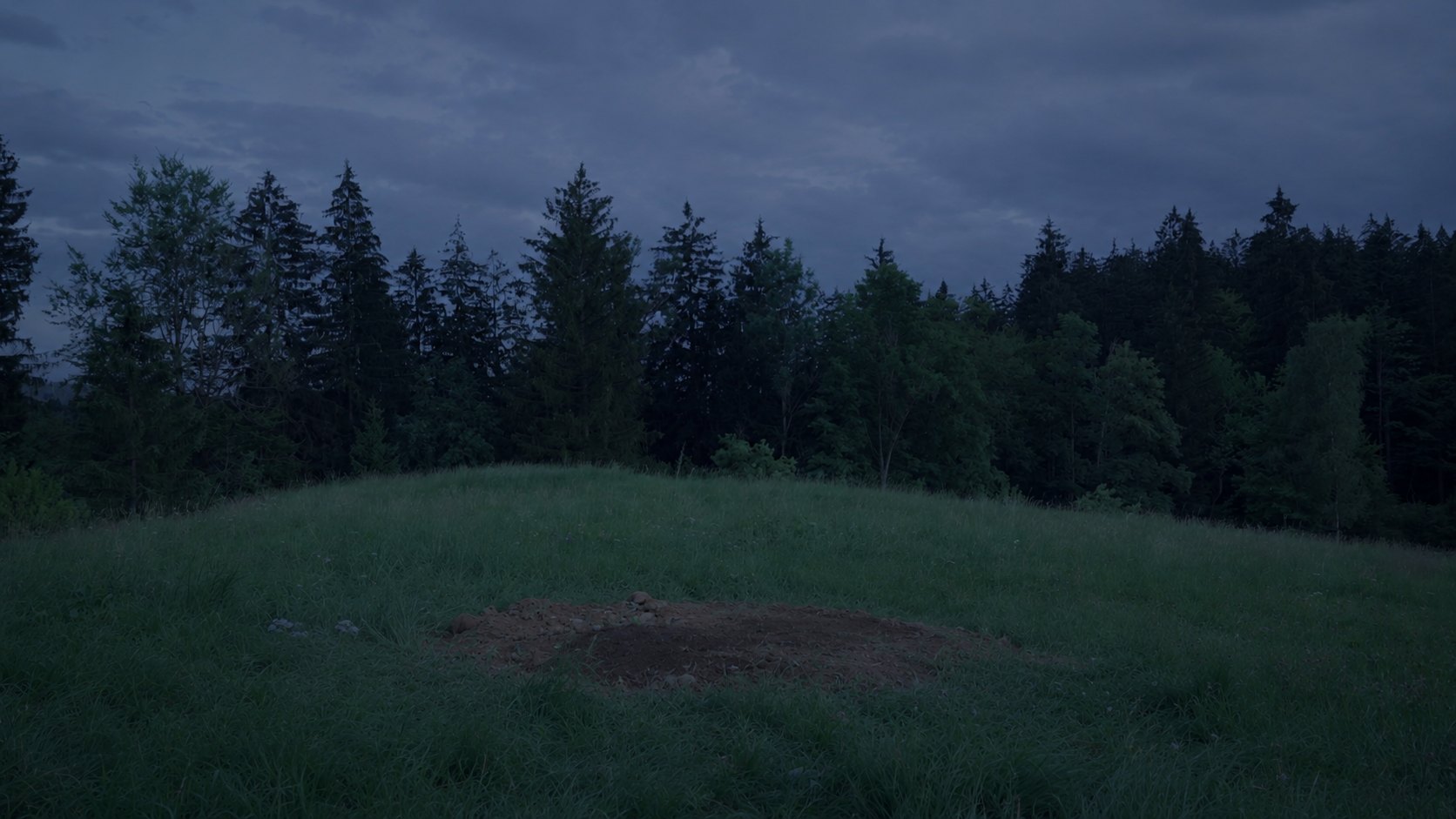 A patch of freshly turned earth on a hillside at dusk on Graška Gora, ringed by spruce forest — the site of Grashka's buried time capsule.